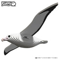 EUGY - Royal Albatross