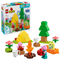 LEGO - Duplo Camping Trip (10452)