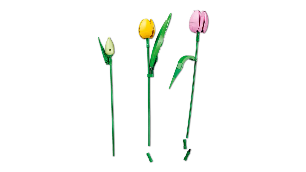 LEGO - Botanicals Tulip Bouquet 11501