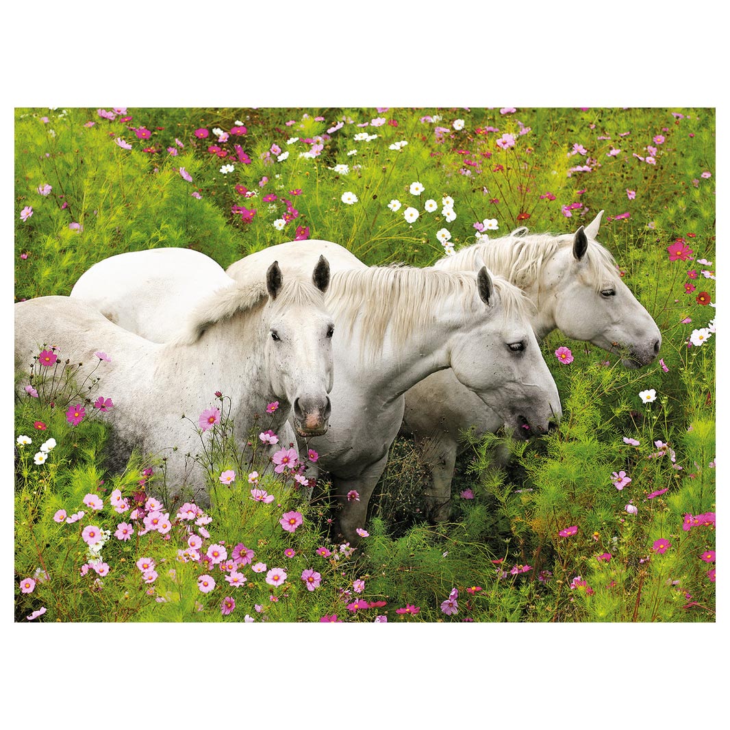 Ravensburger - Horses In A Field Puzzle 300pc