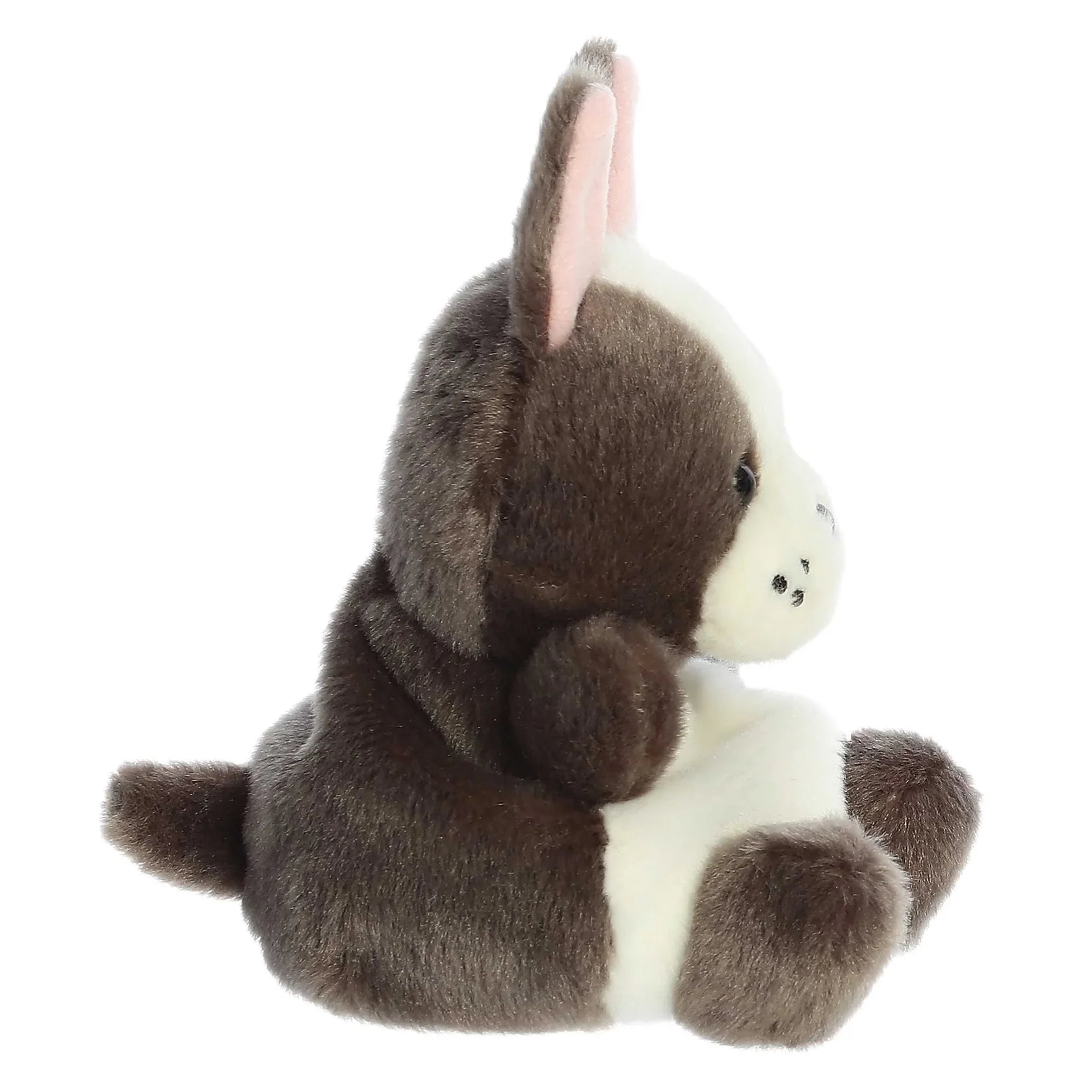 Palm Pals - Beau French Bulldog