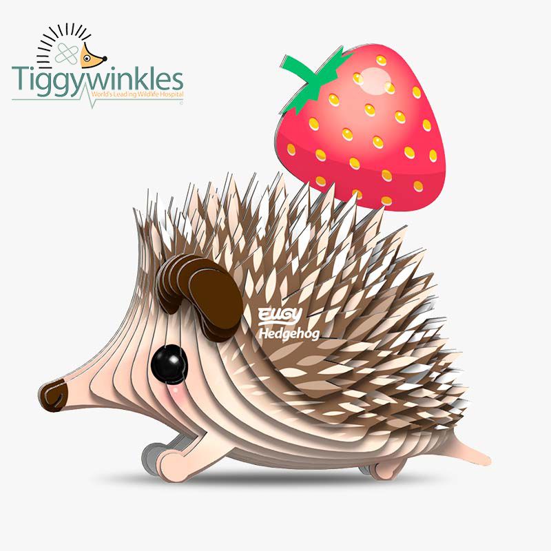 EUGY - Hedgehog