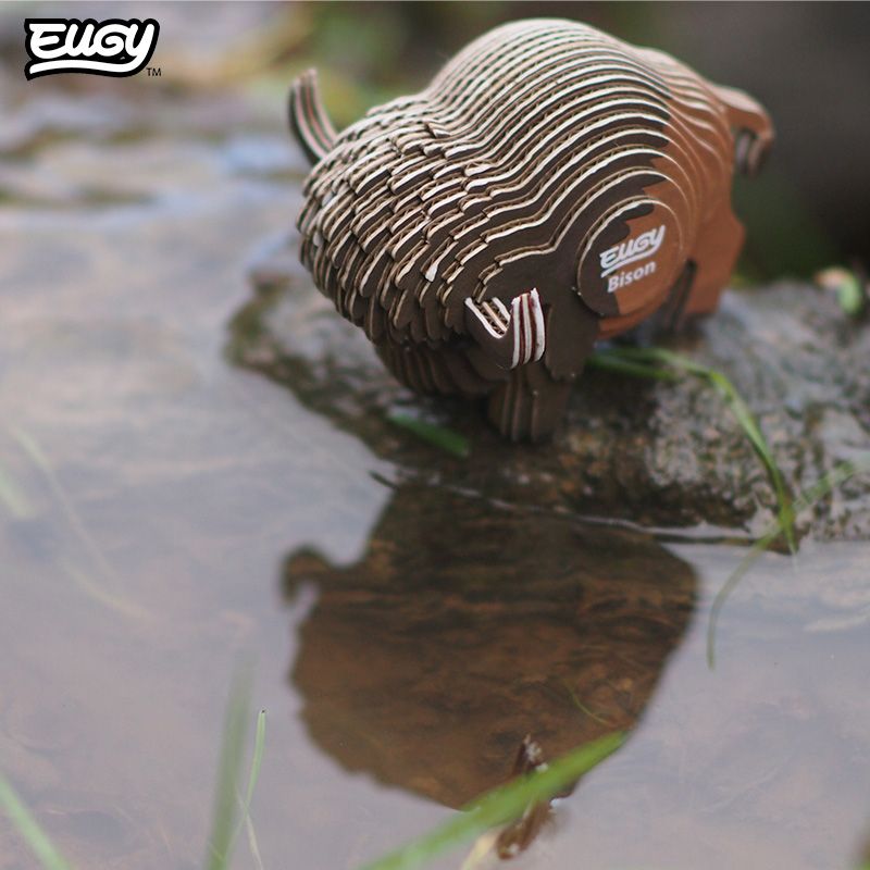 EUGY - Bison