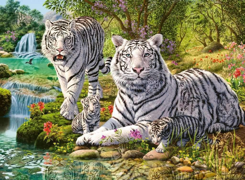 Ravensburger - Puzzle 500pc White Cat