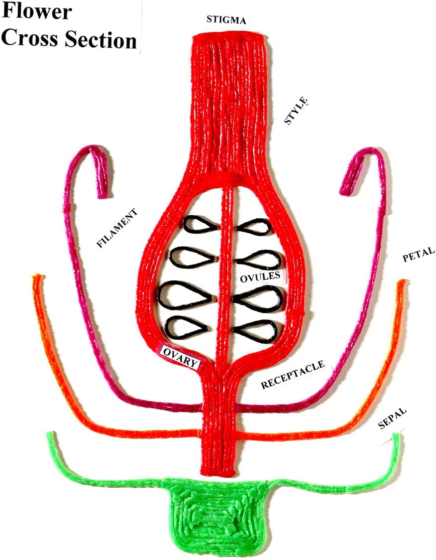 Wikki Stix - Stem Pak
