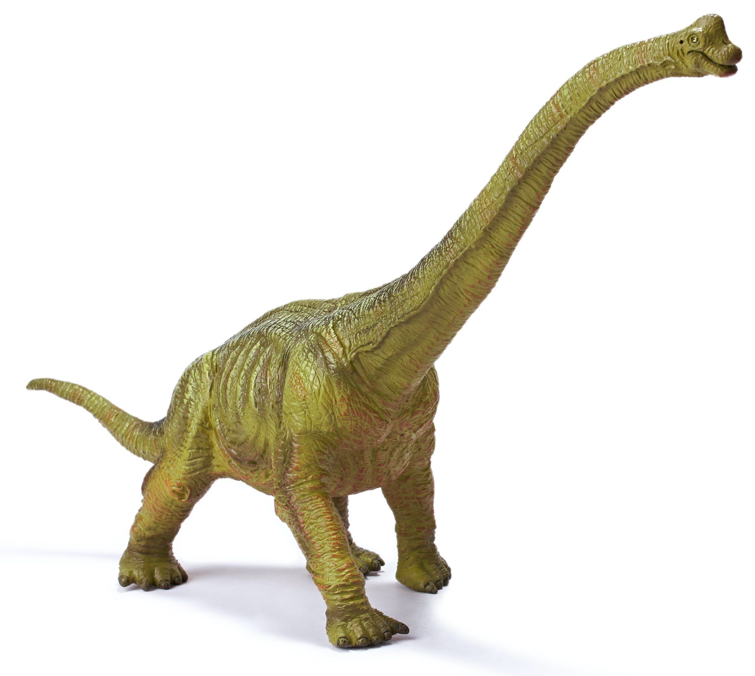 Science & Nature- Brachiosaurus