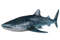 Science & Nature - Whale Shark