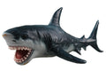 Science & Nature - Great White Shark