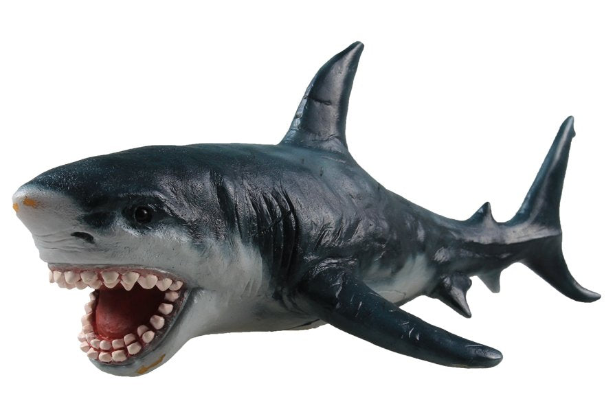 Science & Nature - Great White Shark
