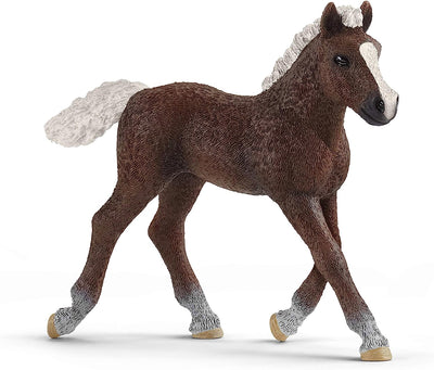 Schleich - Black Forest Foal
