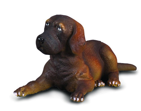 Collecta - Great Dane Puppy