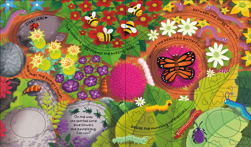 Usborne - Wind Up Lady Bird Book