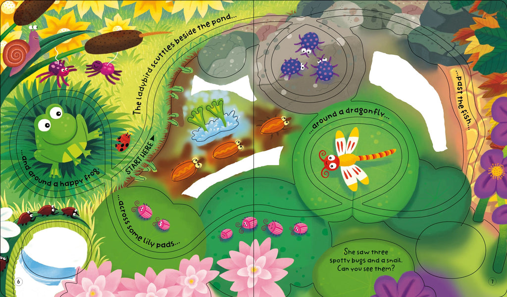Usborne - Wind Up Lady Bird Book