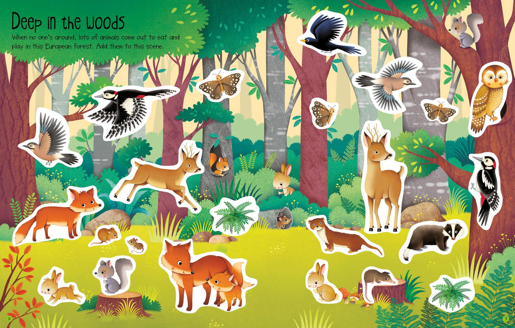 Usborne - First Sticker Book Nature Sticker book