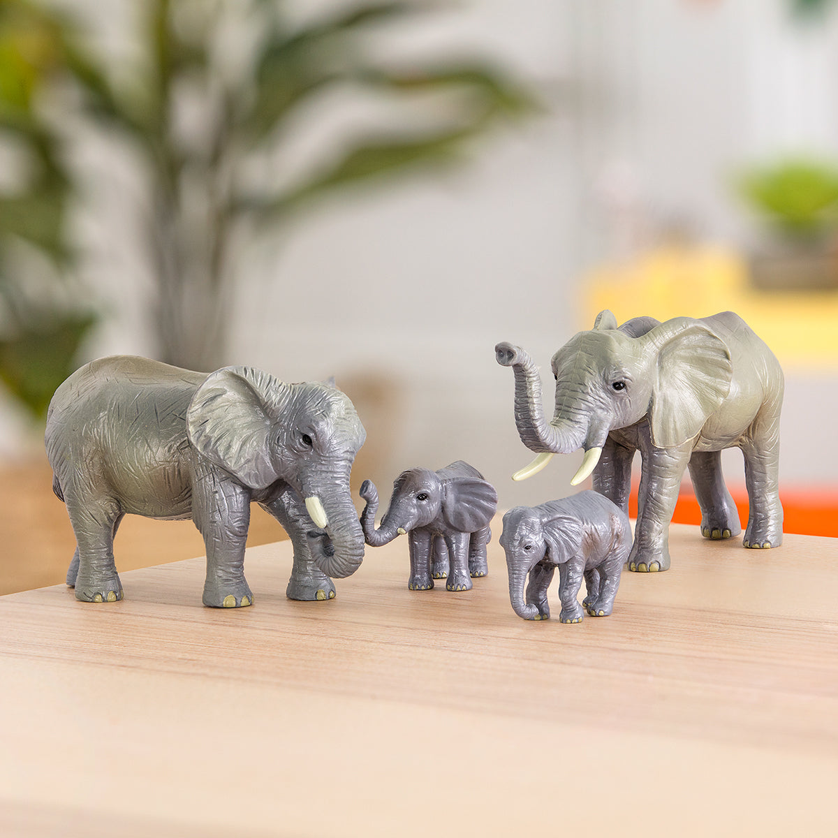 Terra - Elephant Family (4)