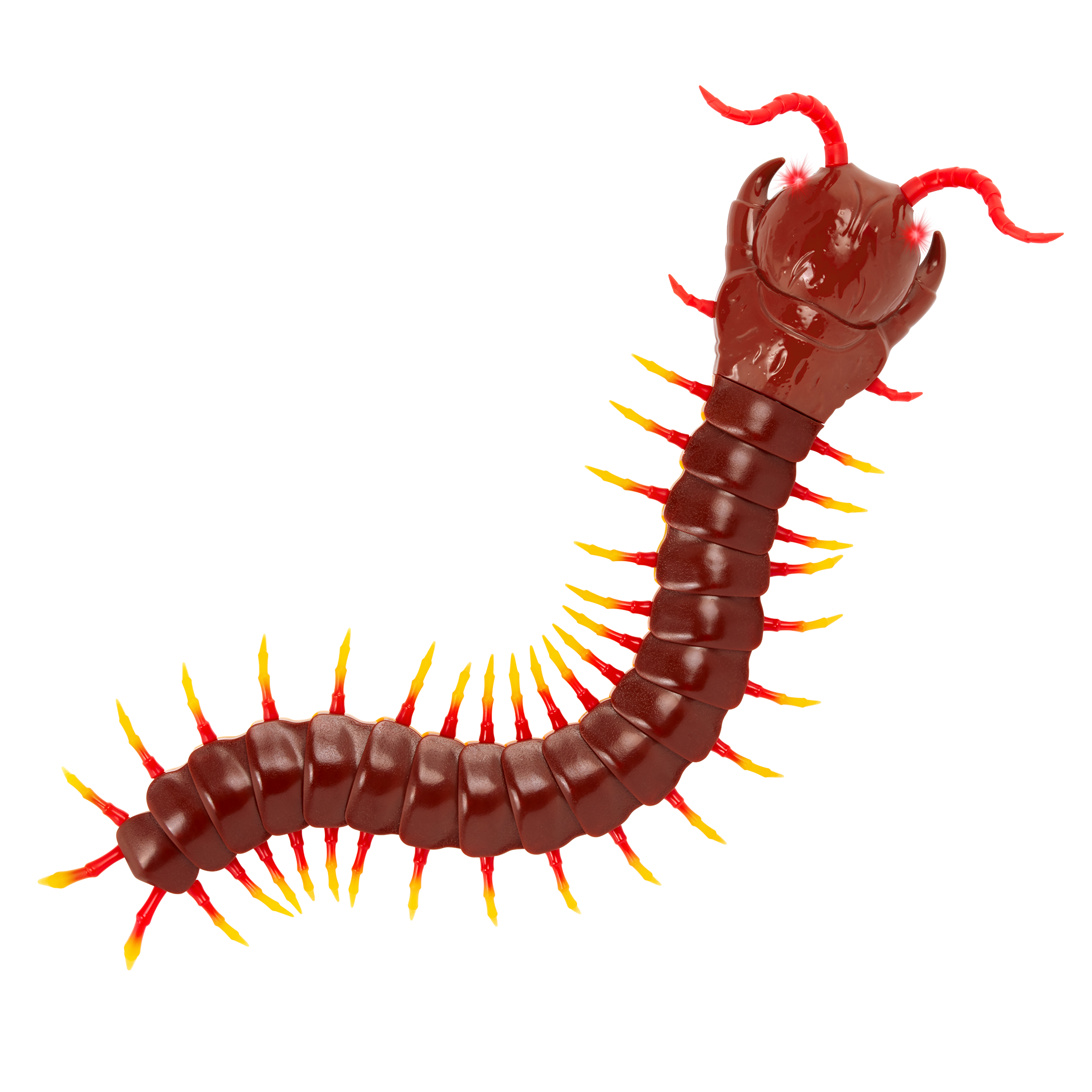Terra - Remote Controlled Centipede - Giant Scolopendra