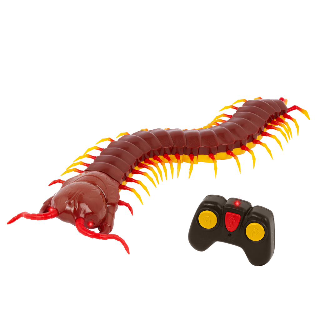 Terra - Remote Controlled Centipede - Giant Scolopendra