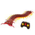 Terra - Remote Controlled Centipede - Giant Scolopendra