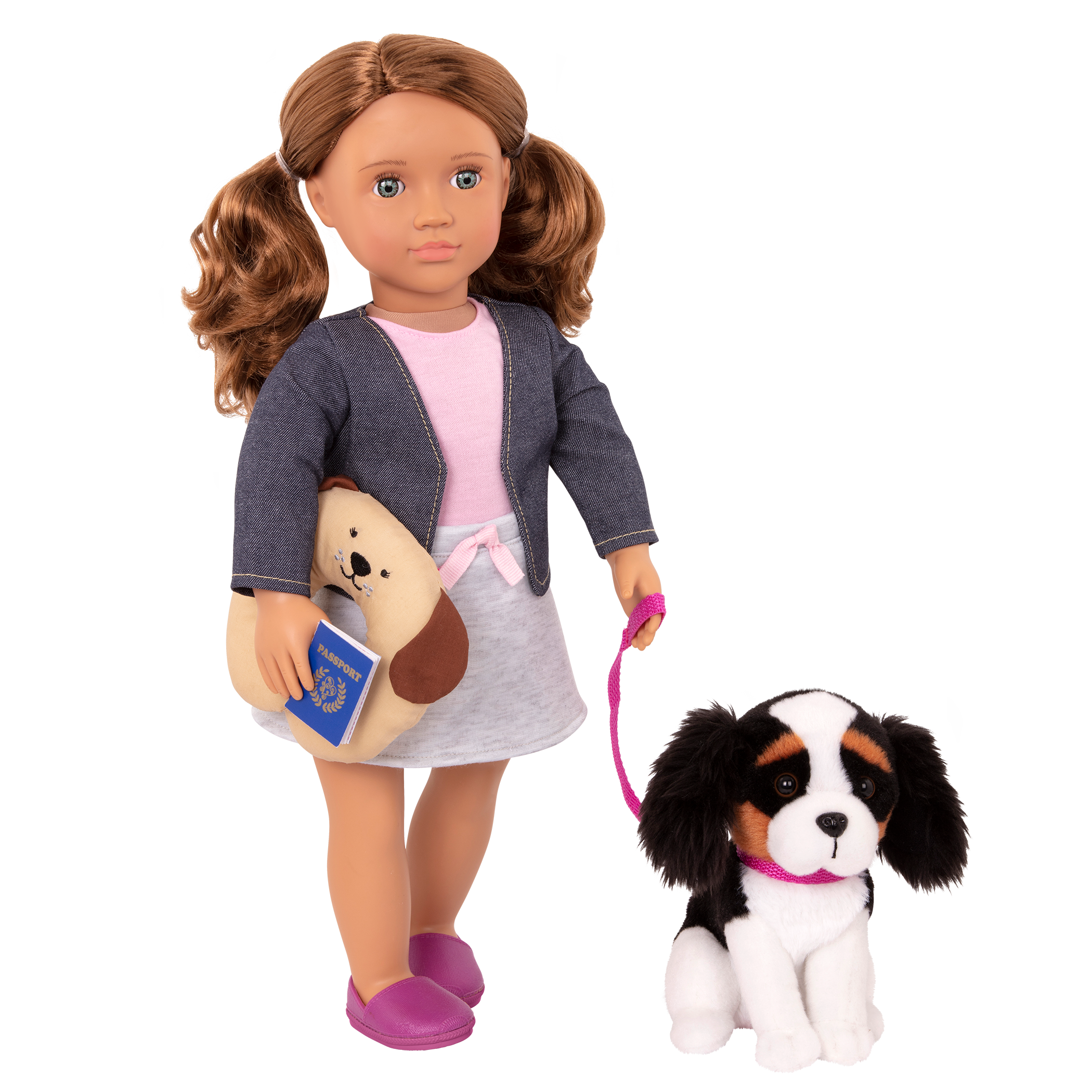 18-inch doll with brown hair, turquoise eyes, travel accessories and Bernese mountain dog plushie