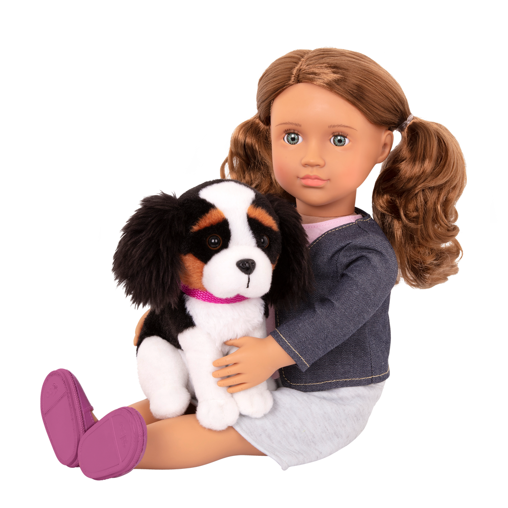 18-inch doll with brown hair, turquoise eyes, travel accessories and Bernese mountain dog plushie