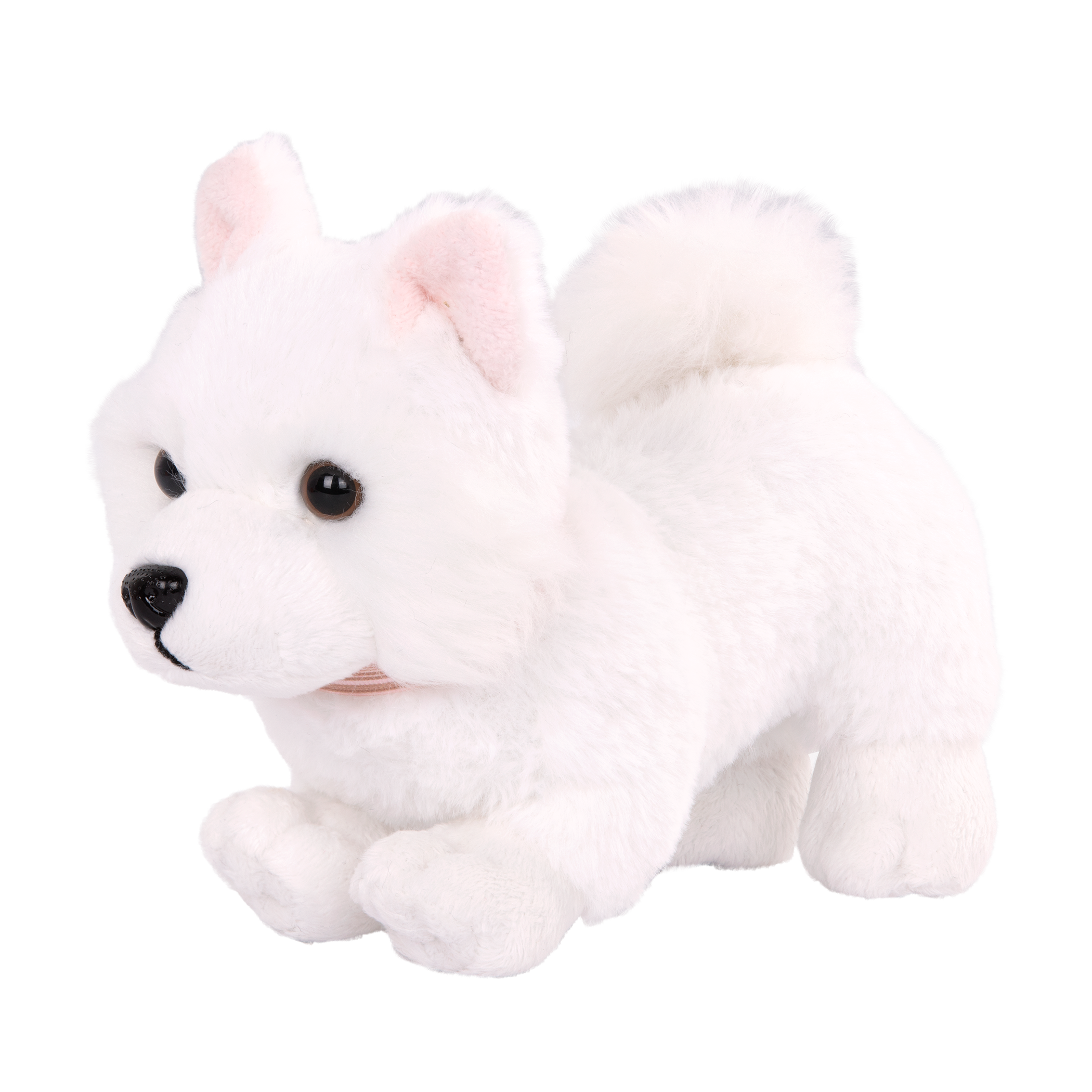 Our Generation American Eskimo pup