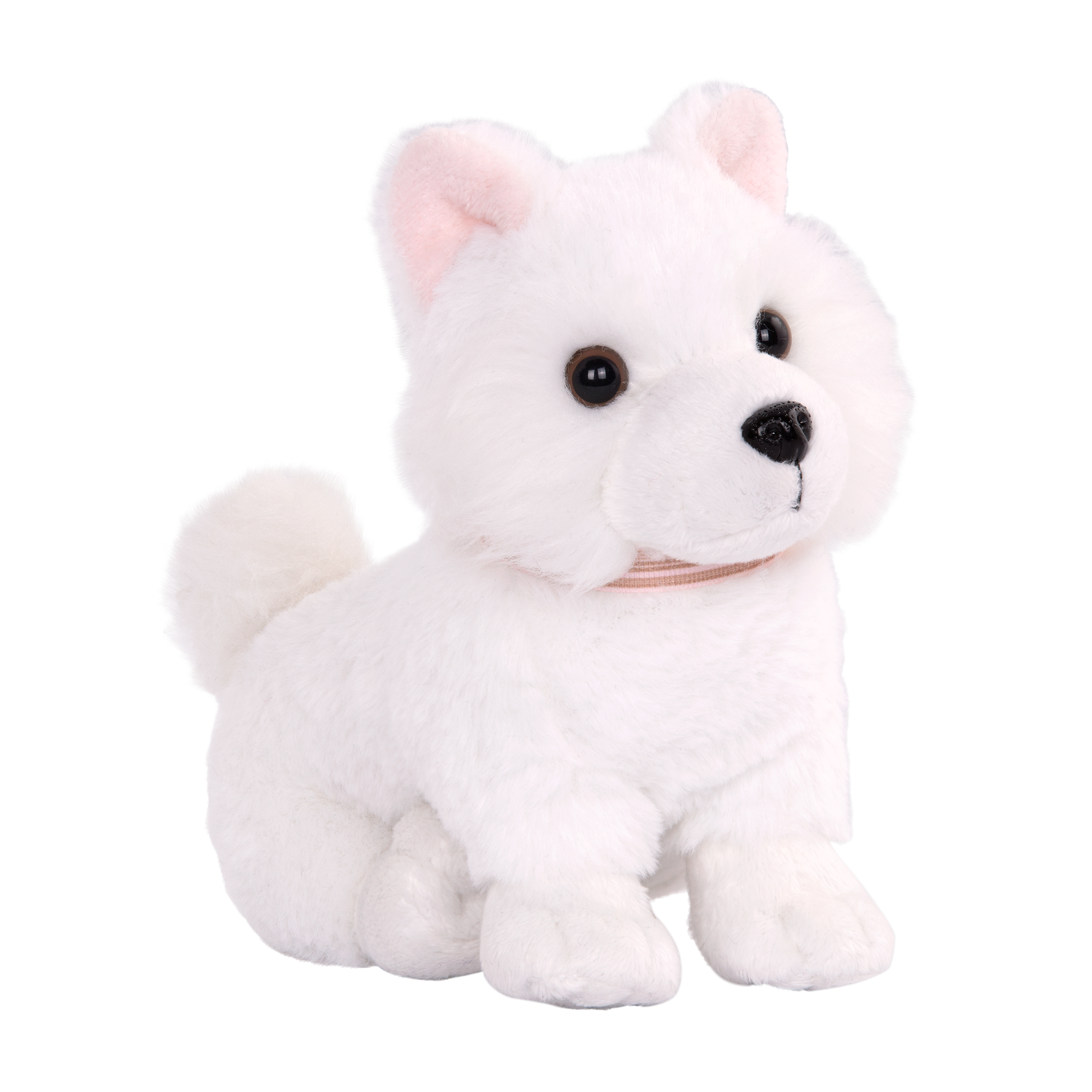 Our Generation American Eskimo pup