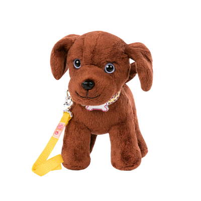 6 inches Labrador Pup