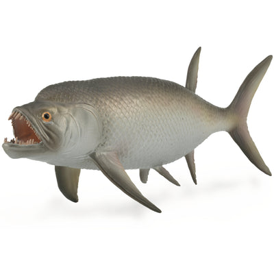 Collecta - Ixphqactinus
