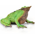 Collecta - Darwins Frog