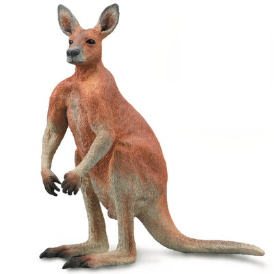 Collecta - Red Kangaroo Male