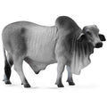 Collecta - Brahman Bull Grey