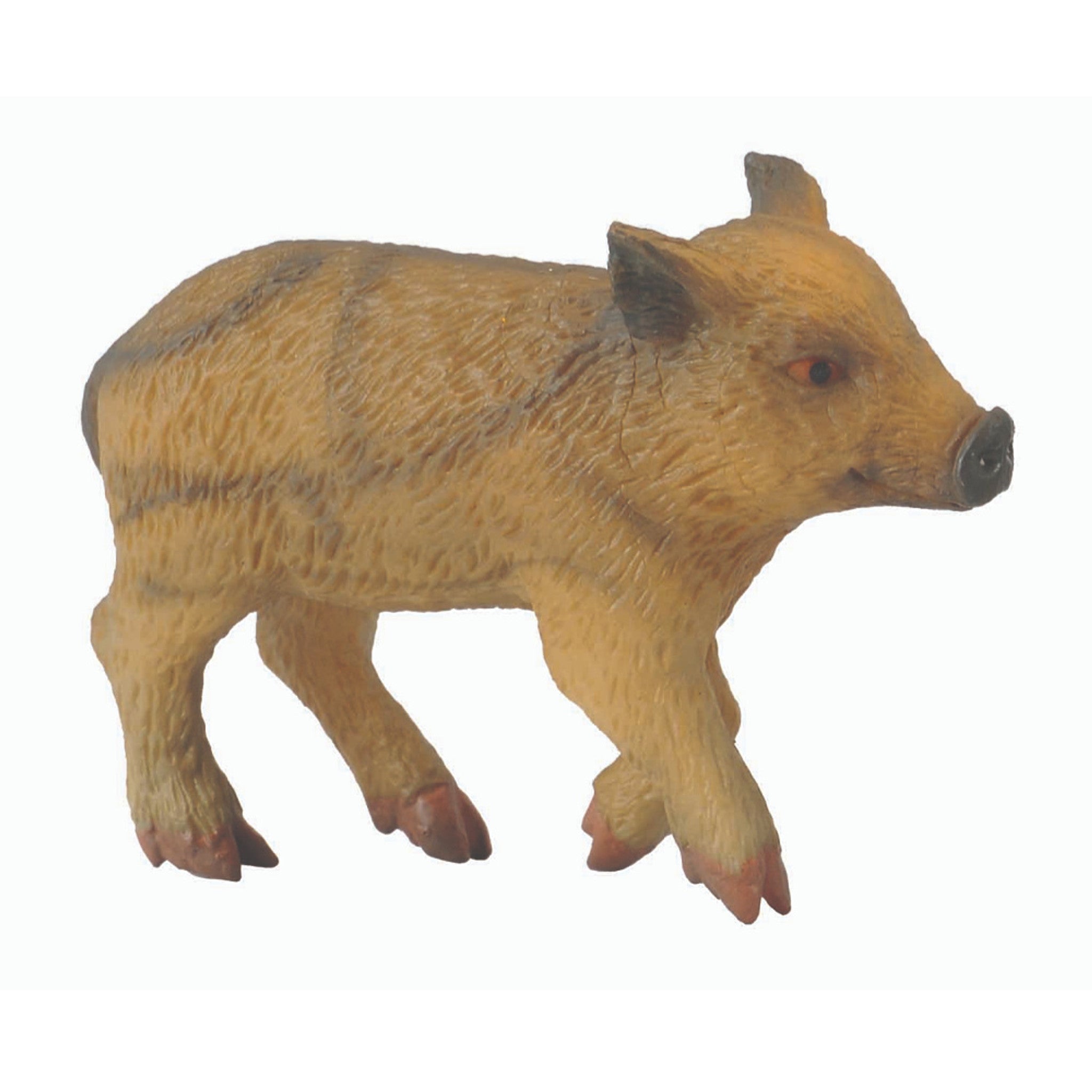 Collecta - Wild Piglet Walking