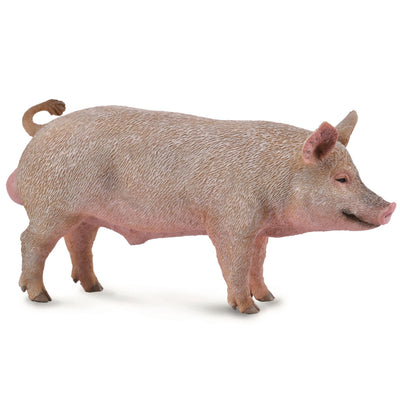 Collecta - Boar