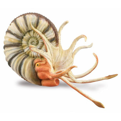 Collecta - Pleuroceras Ammonite