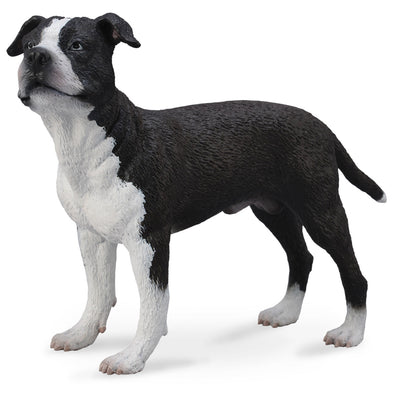 Collecta - American Staffordshire Terrier