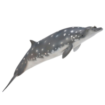 Collecta - Blainvilles Beaked Whale