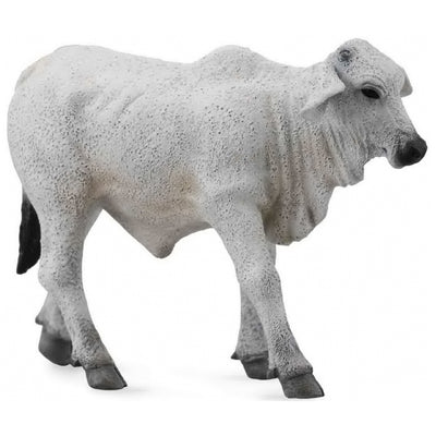 Collecta - Brahman Calf Grey