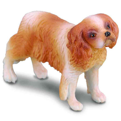 Collecta - Cavalier King Charles Spaniel