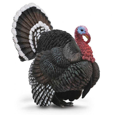 Collecta - Turkey