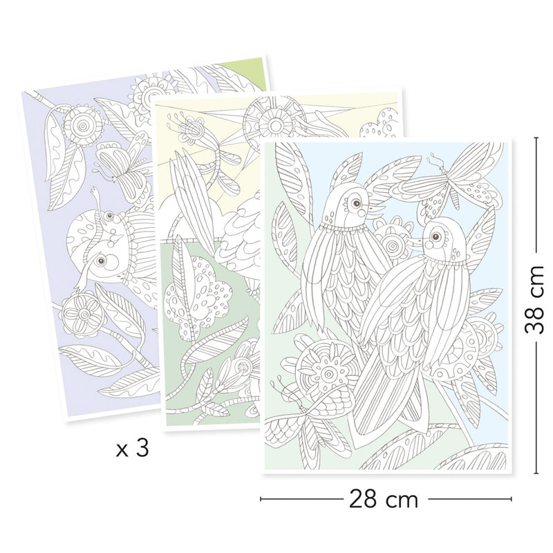 Djeco - Colouring Gallery - Birds