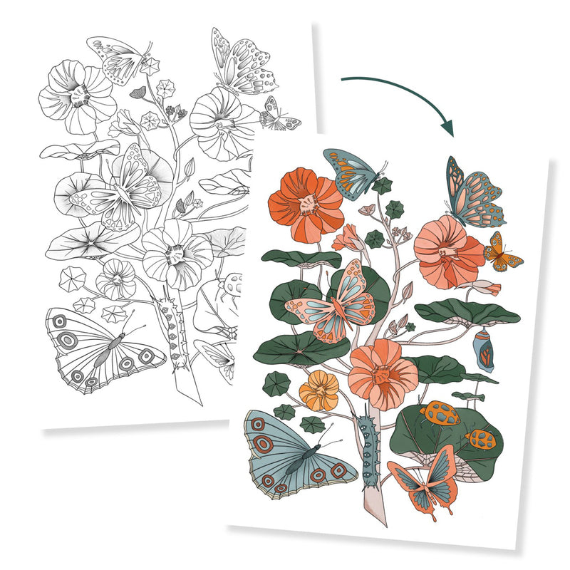 Djeco - Colouring Gallery - Naturalist