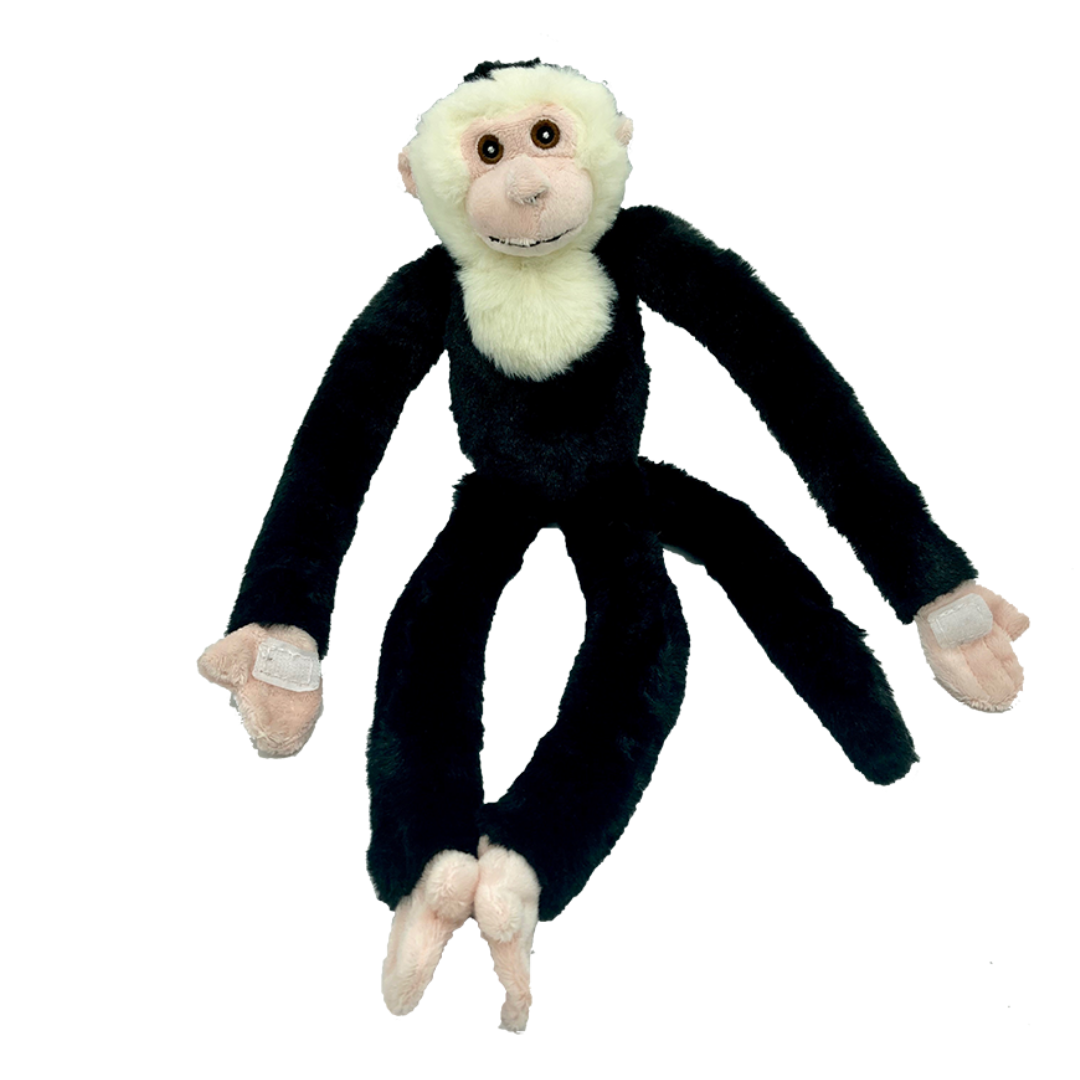 Huggable - Christopher Capuchin