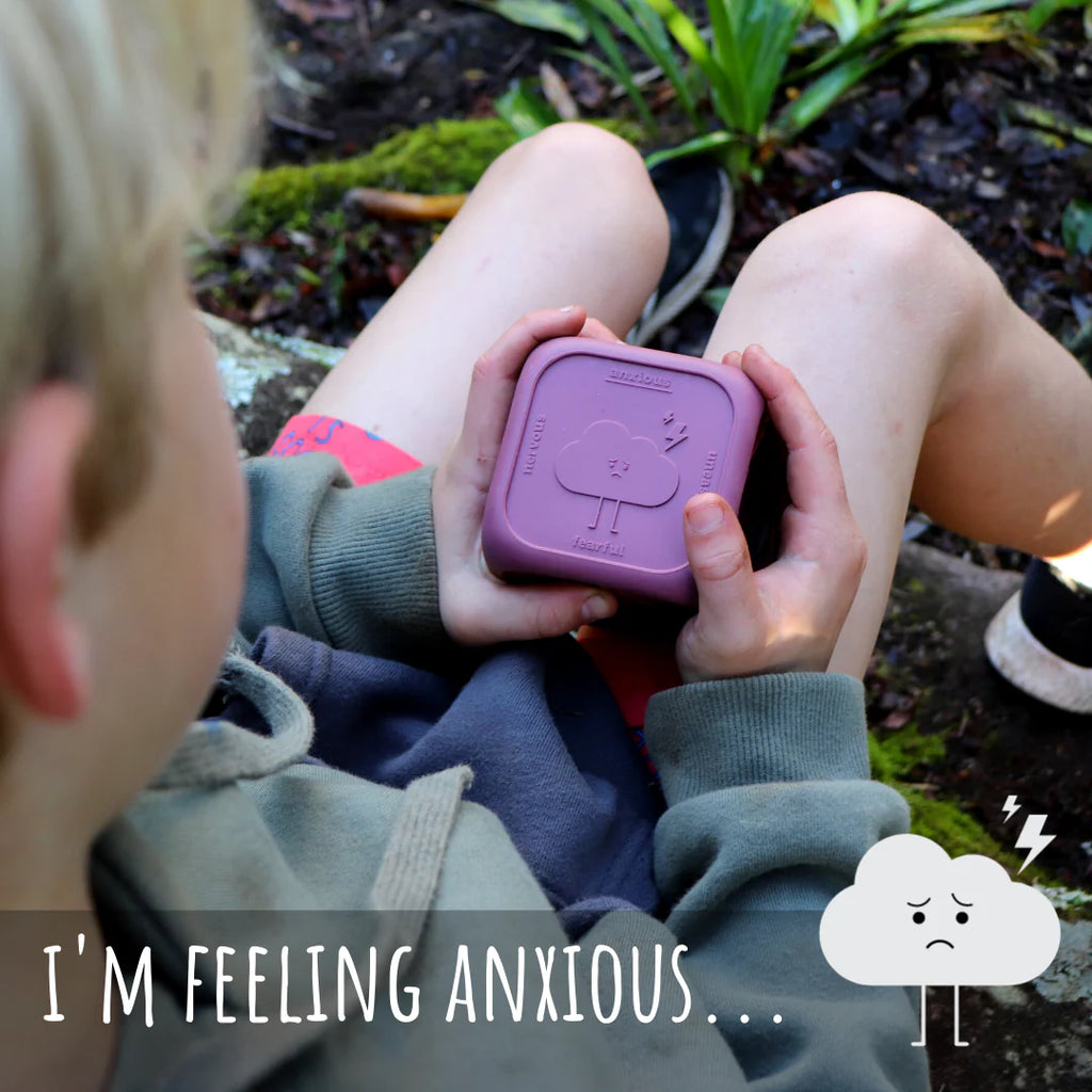 Jellystone - Feelings Cubes Plum