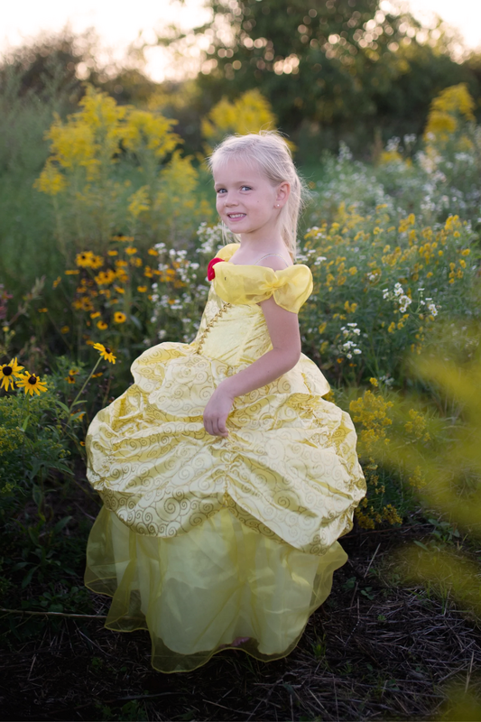 Great Pretenders - Deluxe Belle Gown - Size 3-4