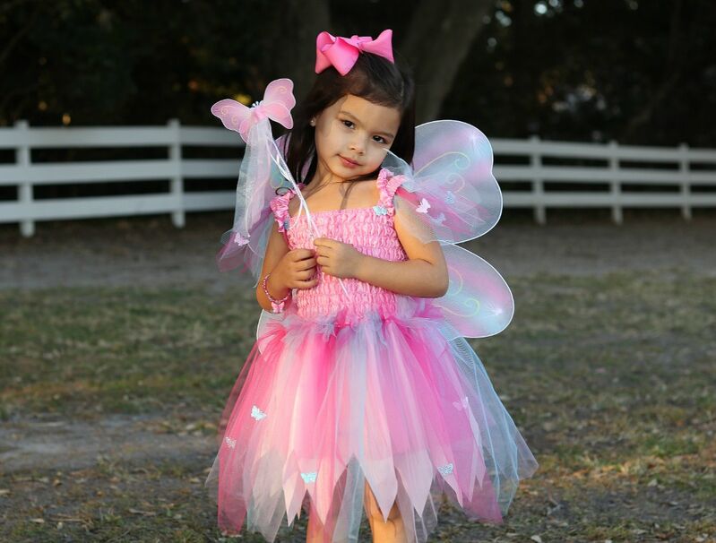 Great Pretenders - Pink Butterfly Dress & Wings with Wand - Size 5-6