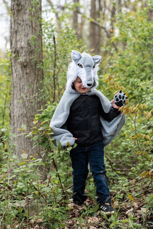 Great Pretenders - Woodland Storybook Wolf Cape Size 4-6