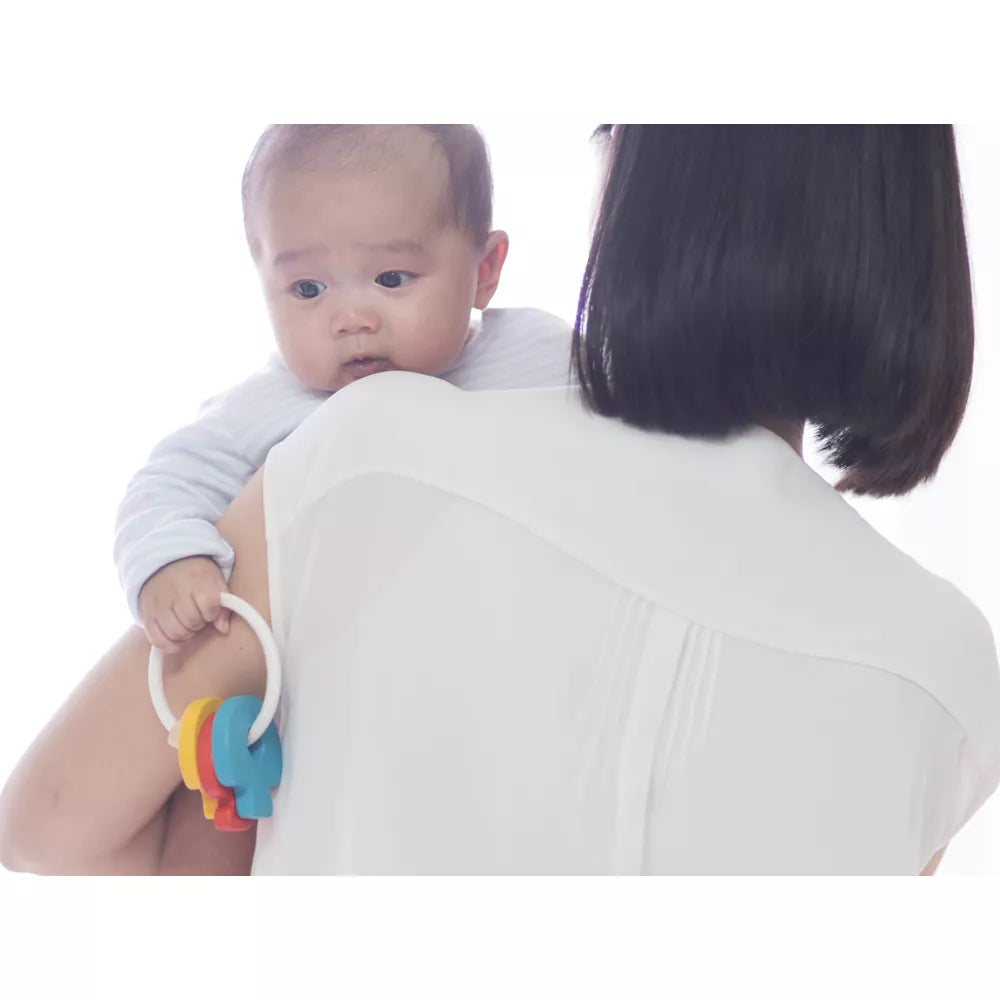 Plan Toys - Baby Key Rattle