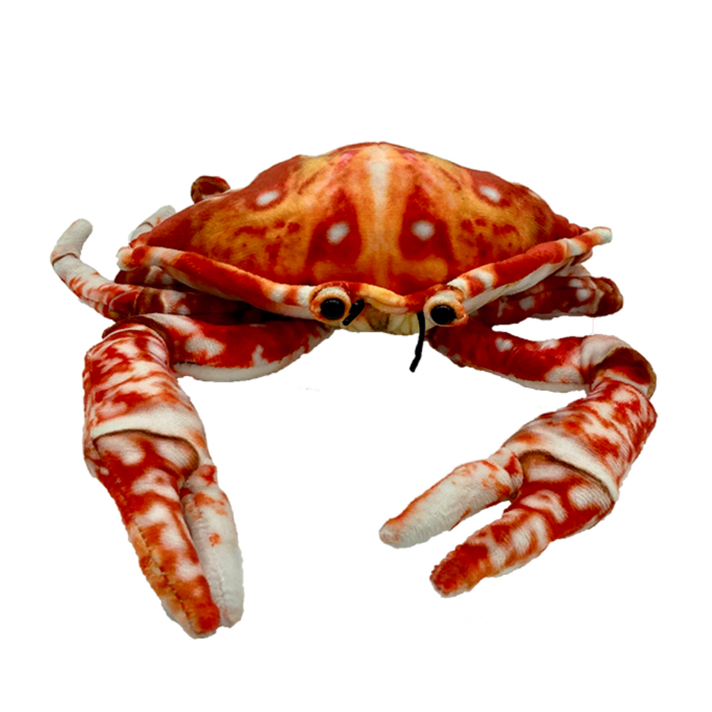 Huggable - Crabby Crab