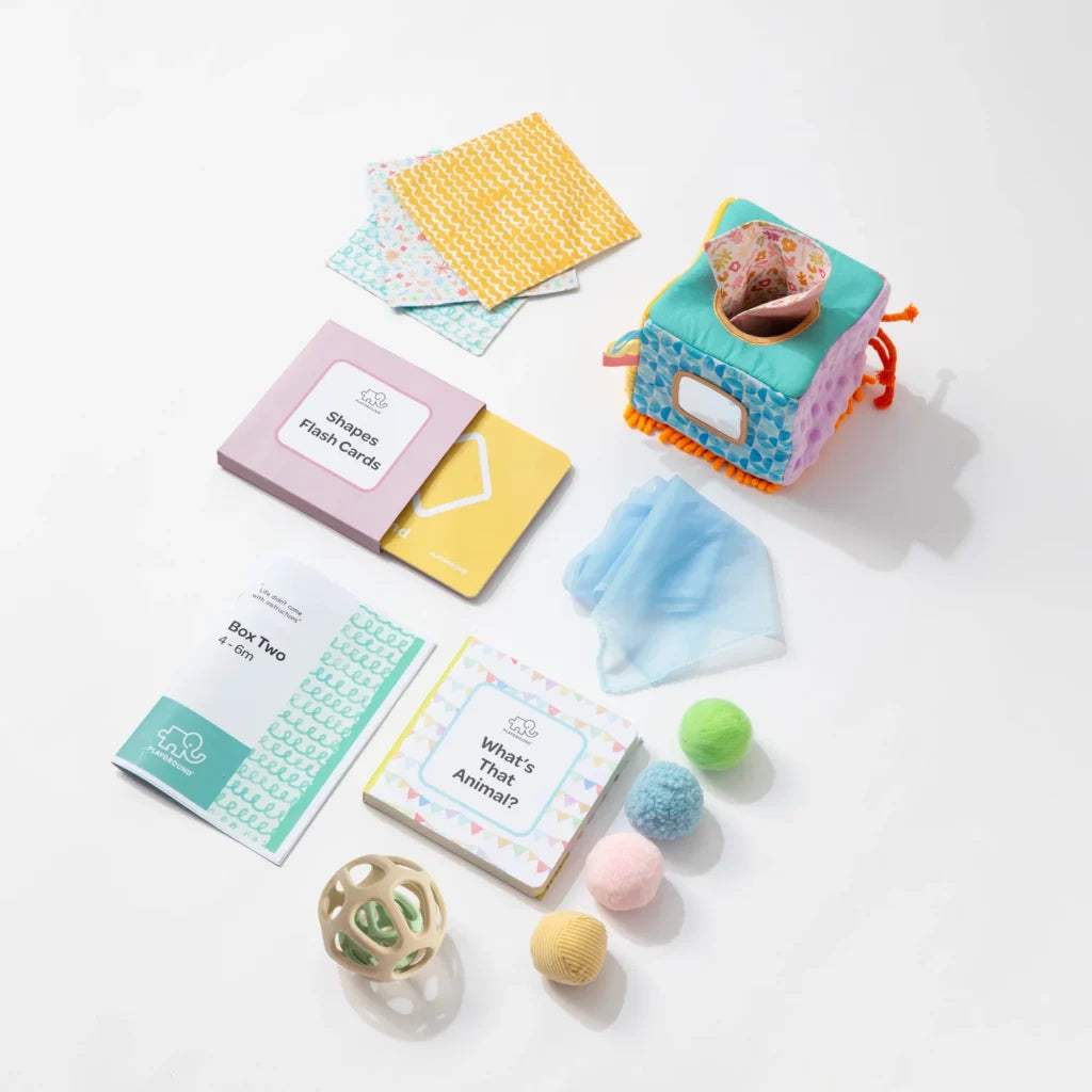 Living Text - Playground Box 2 Learn & Explore 4-6m