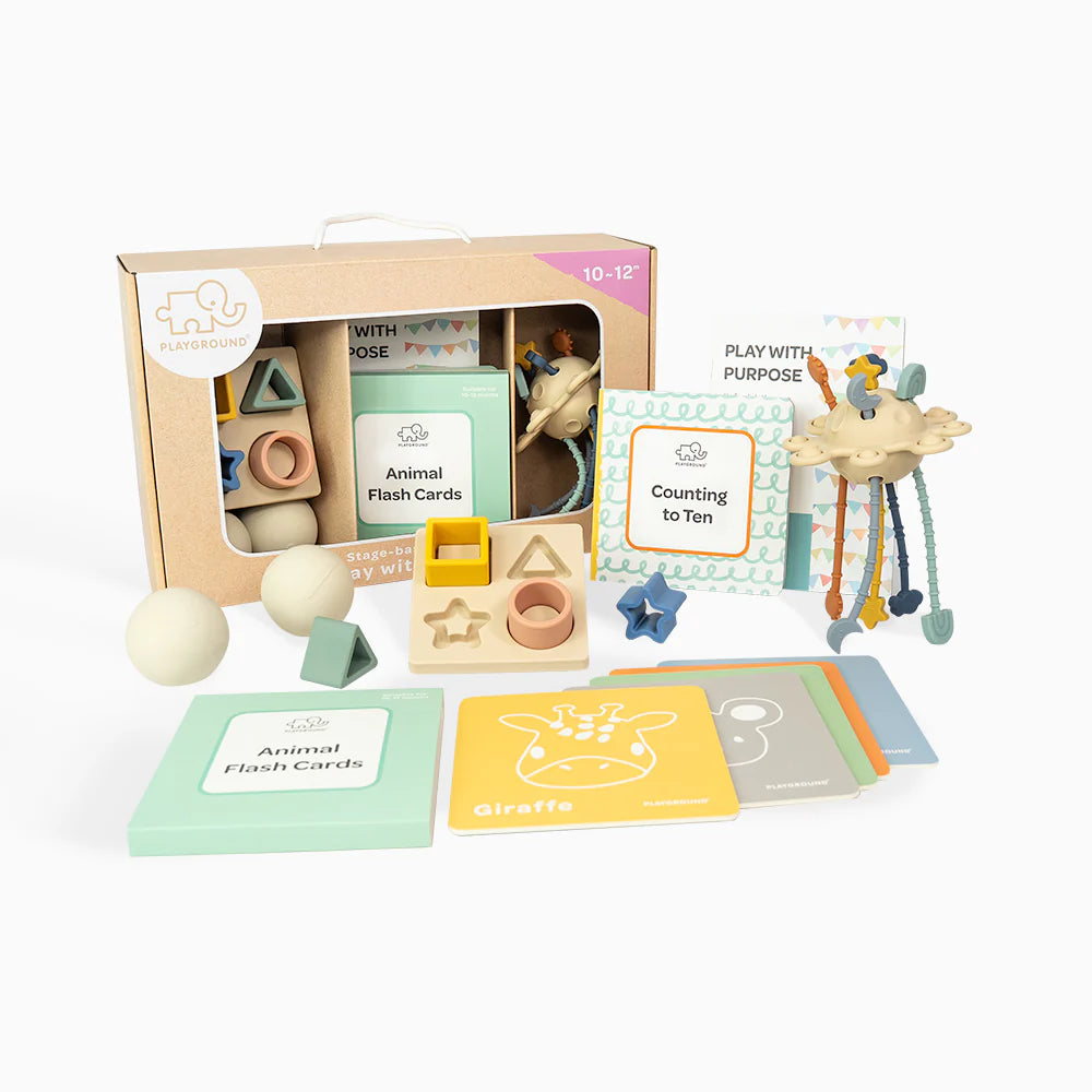 Living Text - Playground Box 4 Play with Purpose